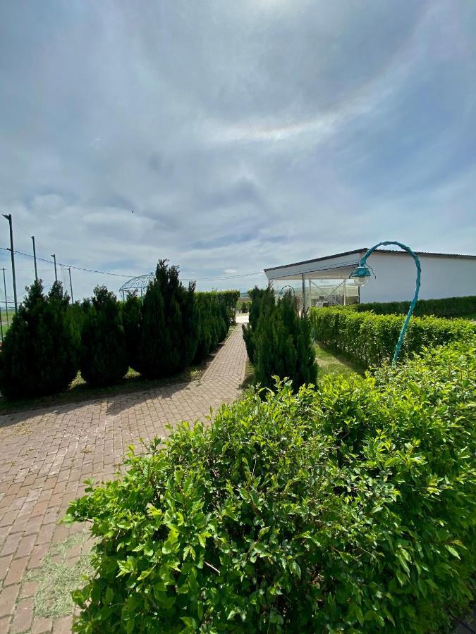 Apartament Green Oasis Stolniceni-Prajescu Zewnętrze zdjęcie